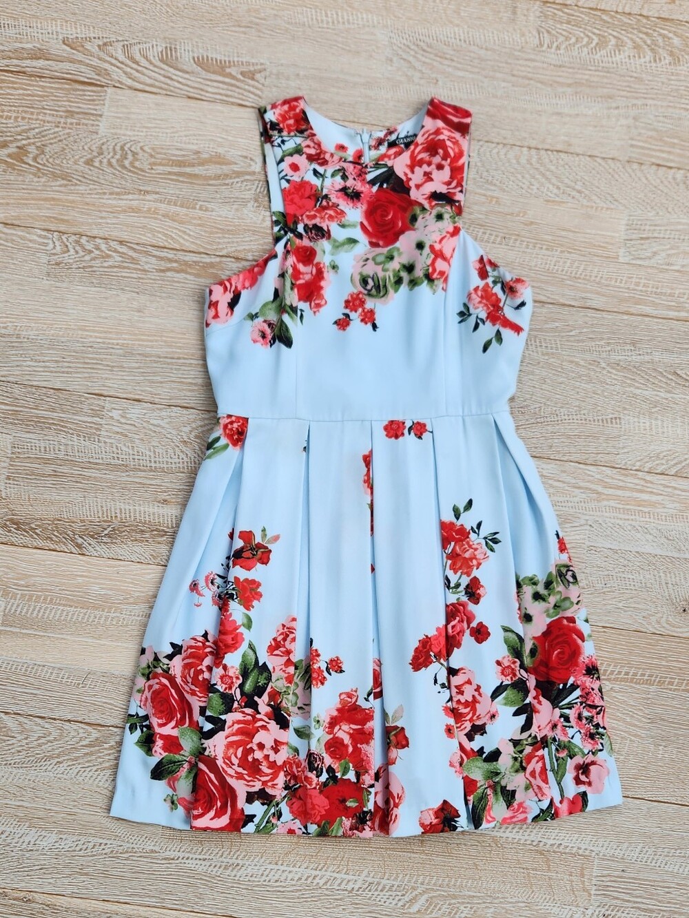 Light Blue Floral Fit-and-Flare Dress with Red Rose Print